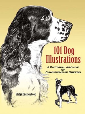 cover image of 101 Dog Illustrations